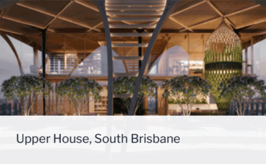 upper-house